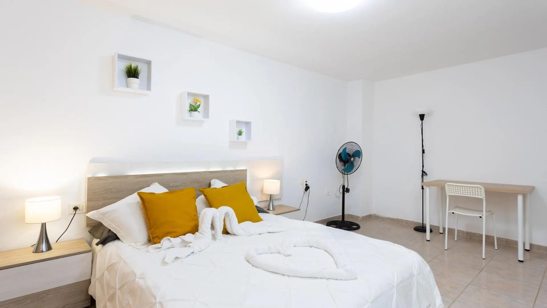 Apartment Eden Rentals Medano Surfstar Ocean First Line El Medano  Spain