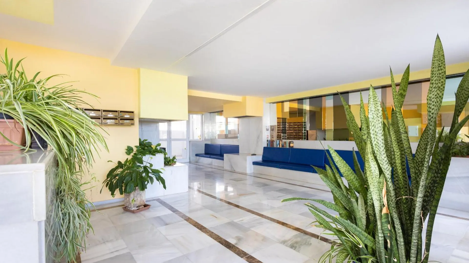Apartment Eden Rentals Medano Surfstar Ocean First Line El Medano